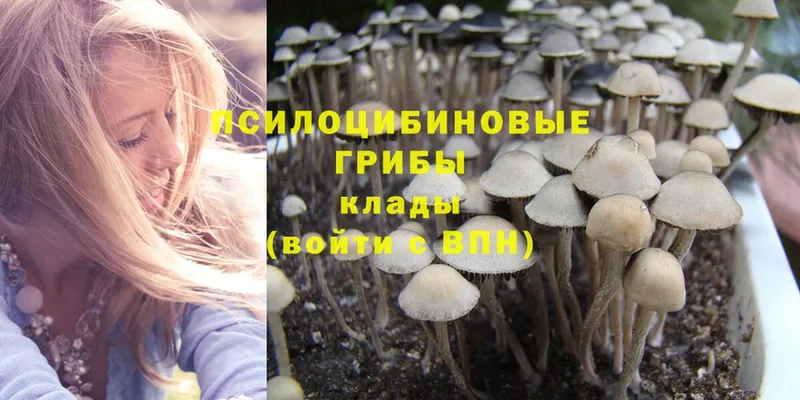 Галлюциногенные грибы MAGIC MUSHROOMS  гидра маркетплейс  даркнет Telegram  Правдинск 